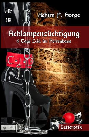 Cover of the book Schlampenzüchtigung: 5 Tage Leid im Herrenhaus by Suzy Ayers