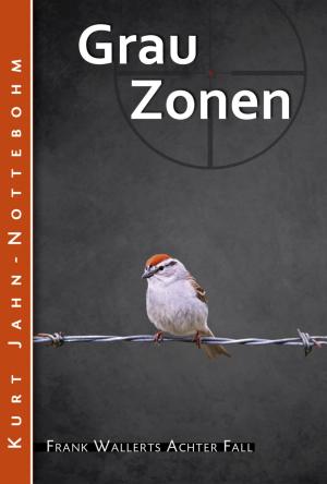 Book cover of Grauzonen