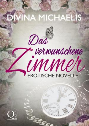 Book cover of Das verwunschene Zimmer