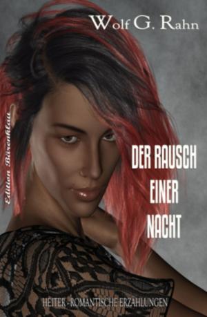 Cover of the book Der Rausch einer Nacht by Ravi Arya