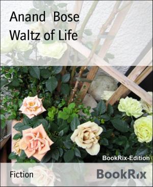 Cover of the book Waltz of Life by Glenn Stirling