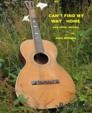 Cover of the book Can't Find My Way Home by Glenn P. Webster