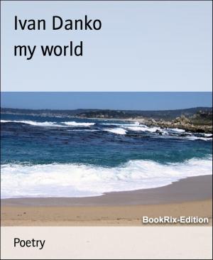 Cover of the book my world by Angelika Nylone