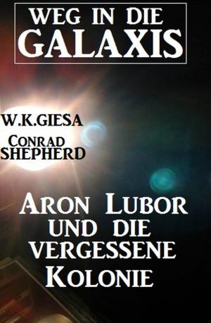 Book cover of Aron Lubor und die vergessene Kolonie: Weg in die Galaxis