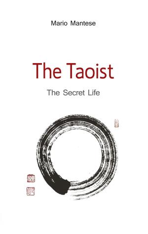 Cover of the book The Taoist by Christine Naber-Blaess