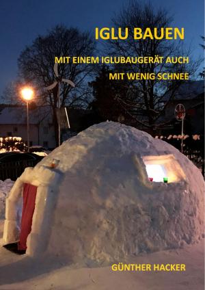 Cover of the book Iglu bauen by Gunter Pirntke