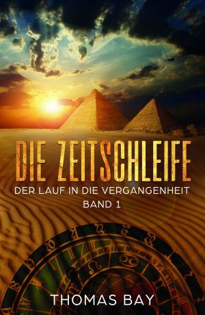 Cover of the book Die Zeitschleife by Sabine Marquardt