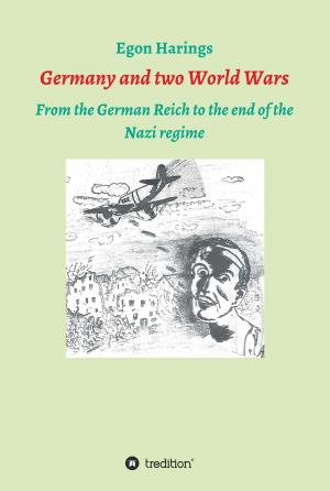 Cover of the book Germany and two World Wars by Stefan Scholz