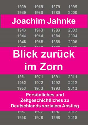 Cover of the book Rückblick im Zorn by Rafael D. Kasischke