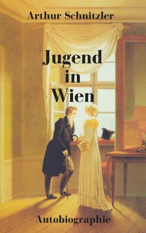 Cover of the book Jugend in Wien by Lea-Johanna Borkenstein, Andreas Di Lenardi