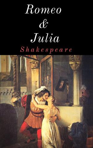 Cover of the book Romeo und Julia by Thomas Meyer