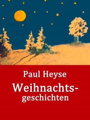 Cover of the book Weihnachtsgeschichten by I. M. Simon