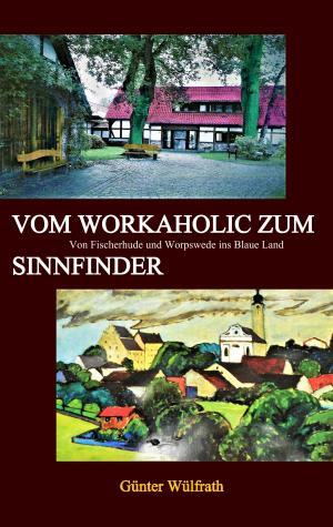 Cover of the book Vom Workaholic zum Sinnfinder by Petri Luosto