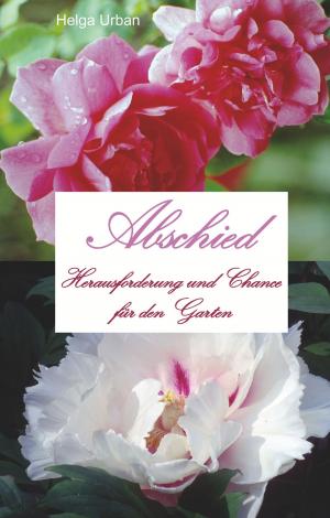 Cover of the book Abschied by Jörg Becker