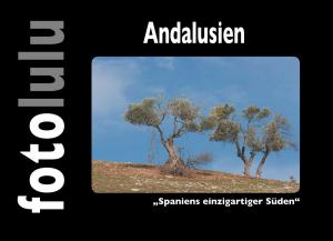 Cover of the book Andalusien by Romy Fischer