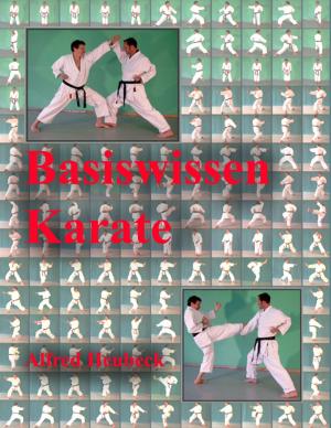 Cover of the book Basiswissen Karate by Kiara Singer