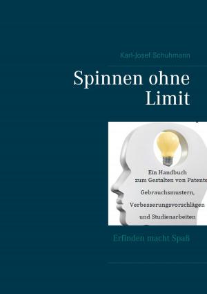 Book cover of Spinnen ohne Limit