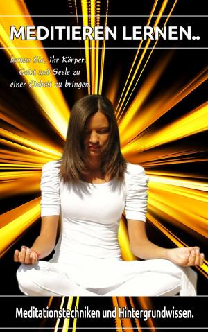 Cover of the book Meditation leicht gemacht by Kurt Tepperwein