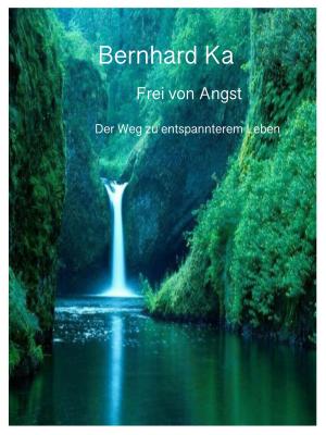 Cover of the book Frei von Angst by Stephan-Matthias Reyle-Hahn
