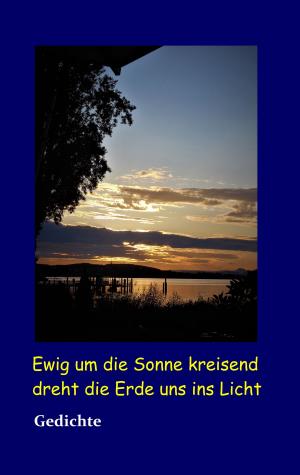 Cover of the book Ewig um die Sonne kreisend dreht die Erde uns ins Licht by Reinhold Albert