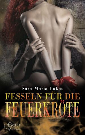 Cover of the book Hard & Heart 7: Fesseln für die Feuerkröte by Sara-Maria Lukas