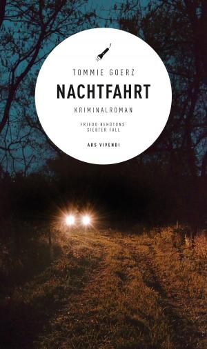 Cover of the book Nachtfahrt (eBook) by Barry Friedman