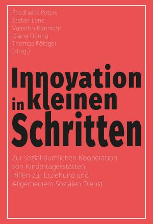 Cover of the book Innovation in kleinen Schritten by André Pilz