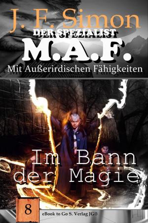 Cover of the book Im Bann der Magie by Jens F. Simon