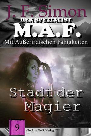 Cover of the book Stadt der Magier by Jens Fitscher