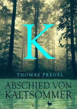Book cover of Abschied von Kaltsommer