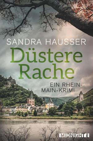 Cover of the book Düstere Rache by Jeanne Steig