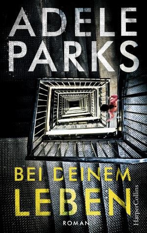 Cover of the book Bei deinem Leben by Karen Thompson Walker