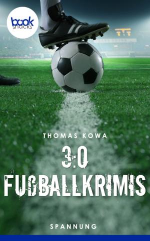 Book cover of 3:0 Fußballkrimis (Kurzgeschichten, Spannung)