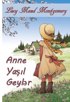 Book cover of Yaşıl Kabartmaların Anası