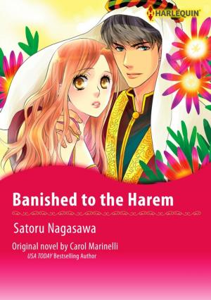 Cover of the book BANISHED TO THE HAREM by Pamela Yaye