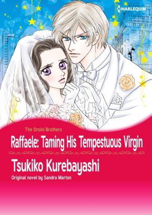Cover of the book RAFFAELE: TAMING HIS TEMPESTUOUS VIRGIN by Elizabeth Bevarly