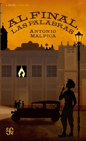 Cover of the book Al final, las palabras by Cecilia Lessa Kerstenetzky, César González Ochoa