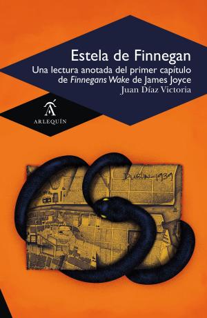 Book cover of Estela de Finnegan