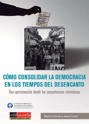 Book cover of Cómo consolidar la democracia en los tiempos del desencanto