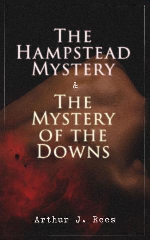 Cover of the book The Hampstead Mystery & The Mystery of the Downs by James Oliver Curwood
