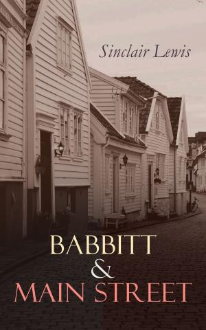 Book cover of Babbitt & Main Street