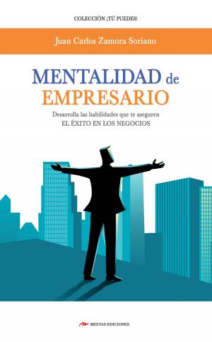 Cover of the book Mentalidad de empresario by Sergio Aparicio Pérez
