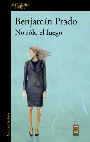 Cover of the book No sólo el fuego by Megan McDonald