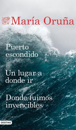 Cover of the book Puerto escondido + Un lugar a donde ir + Donde fuimos invencibles (Pack) by Accerto