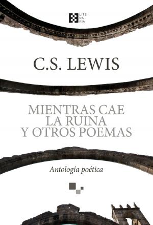 Cover of Mientras cae la ruina y otros poemas