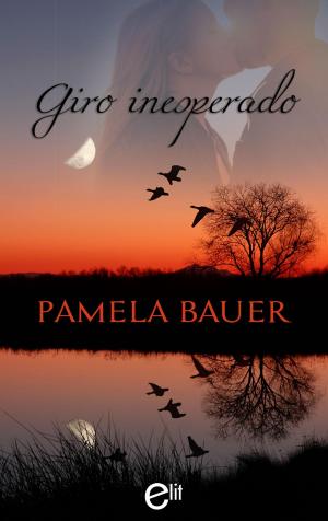 Cover of the book Giro inesperado by Raye Morgan