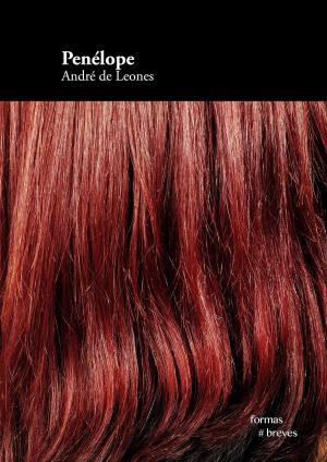 Cover of the book Penélope by Gonzalo Cárcamo