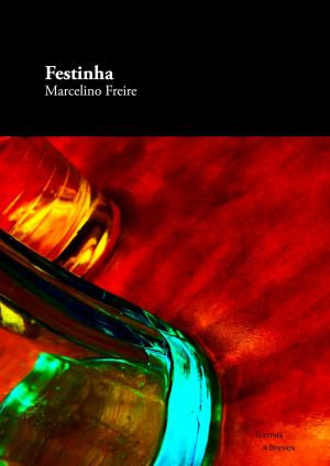 Cover of the book Festinha by Estevão Azevedo
