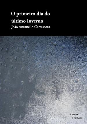 Cover of the book O primeiro dia do último inverno by Luci Collin