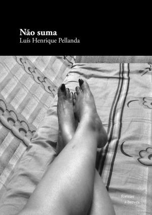 Cover of the book Não suma by Olga Curado